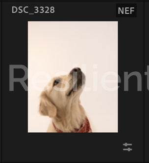 Screenshot 2024-12-18 at 9.16.23 AM.png
