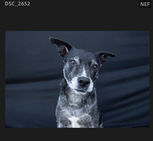Screenshot 2024-10-28 at 2.09.37 PM.png