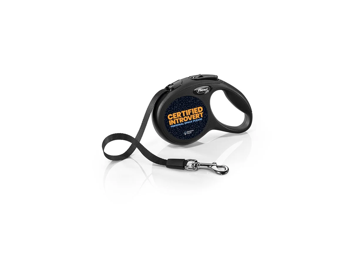 Flexi Retractable Leash with High-Vis Message
