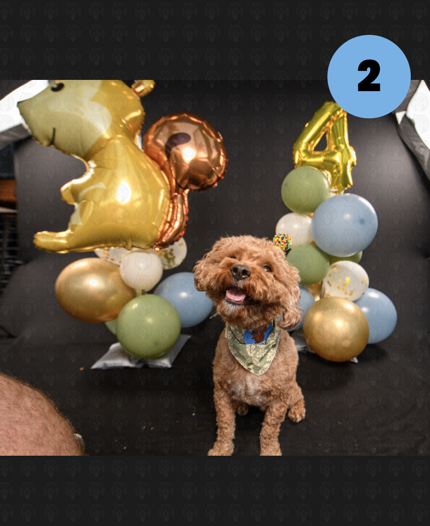 Photographer's Selects of Gauss DeLap Birthday