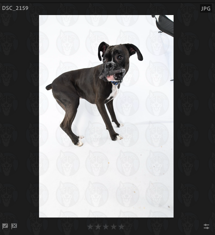 Screenshot 2025-02-26 at 2.20.56 PM copy.png