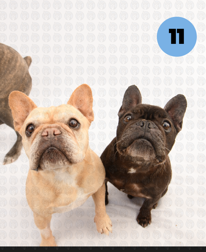 Screenshot 2026-01-12 at 11.54.19 AM copy.png