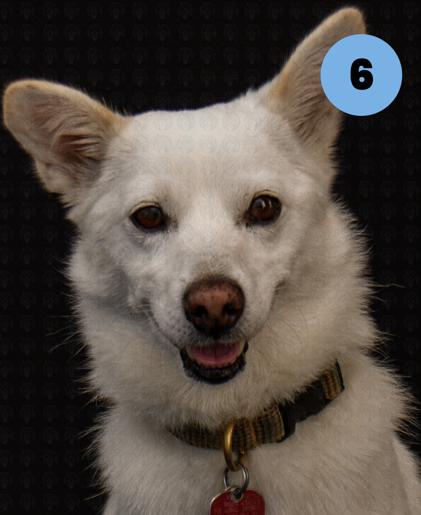 Screenshot 2025-10-24 at 1.25.11 PM copy.png