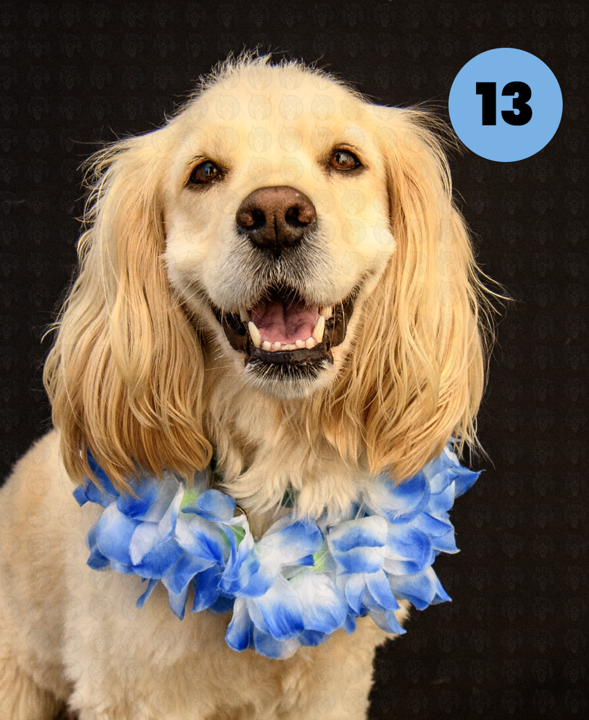 Screenshot 2025-10-24 at 2.19.11 PM copy.png