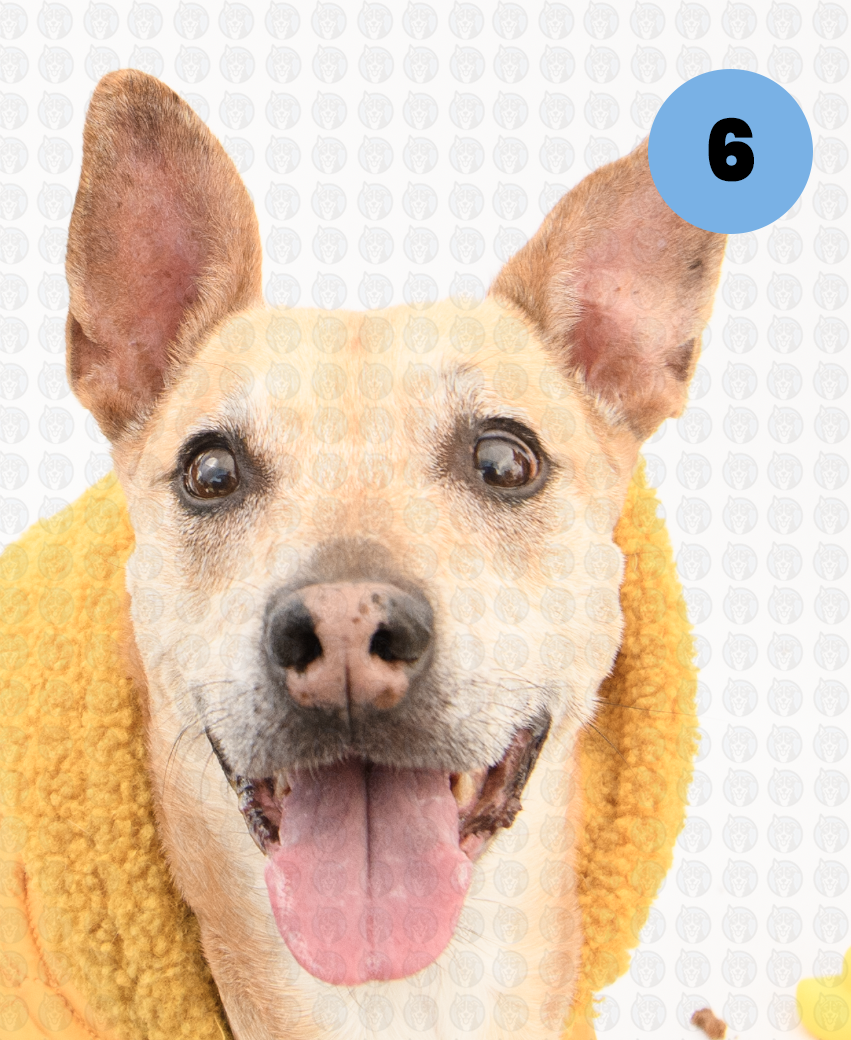 Photographer's Selects of Goldie Garcia