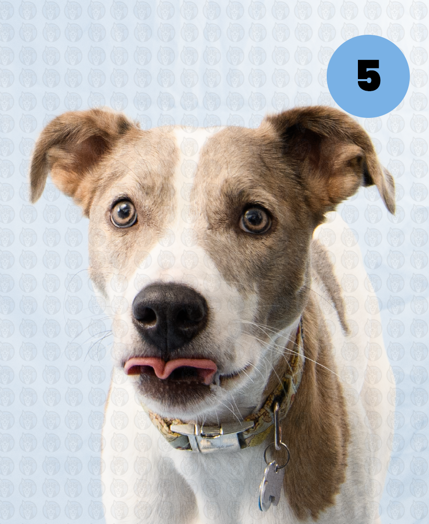 Screenshot 2025-12-16 at 9.45.01 AM copy.png