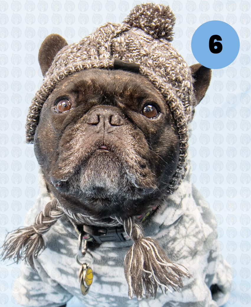 Screenshot 2025-12-16 at 10.01.32 AM copy.png