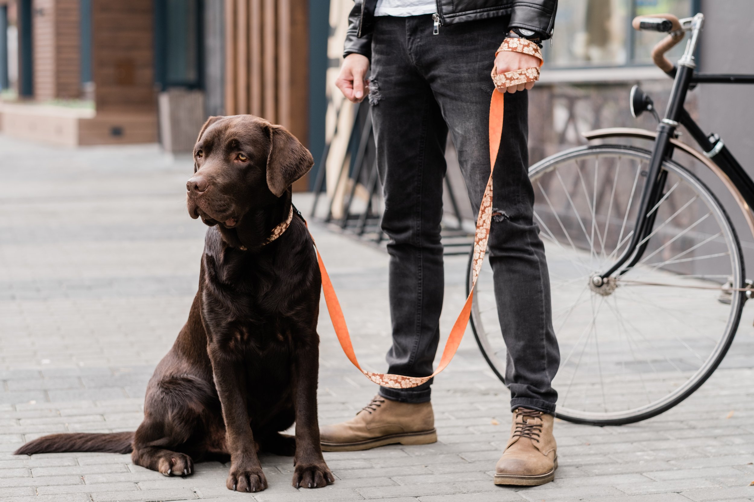 AdobeStock_297161197.jpeg