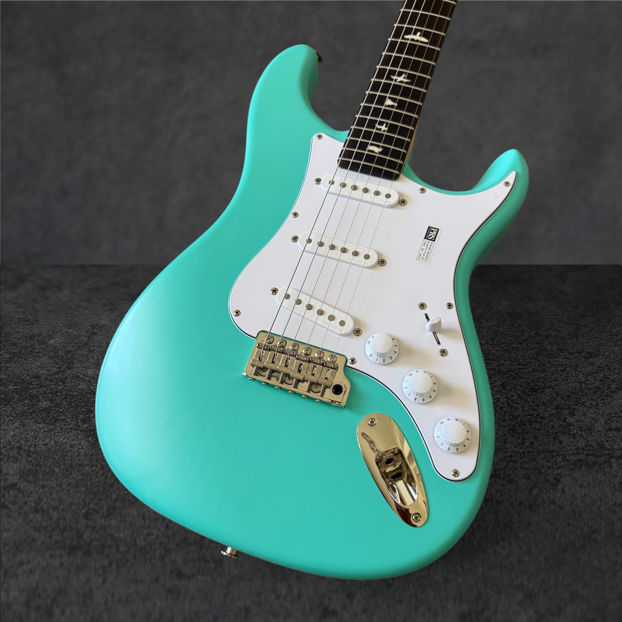 PRS Limited Edition John Mayer Signature Silver Sky - Wild Blue