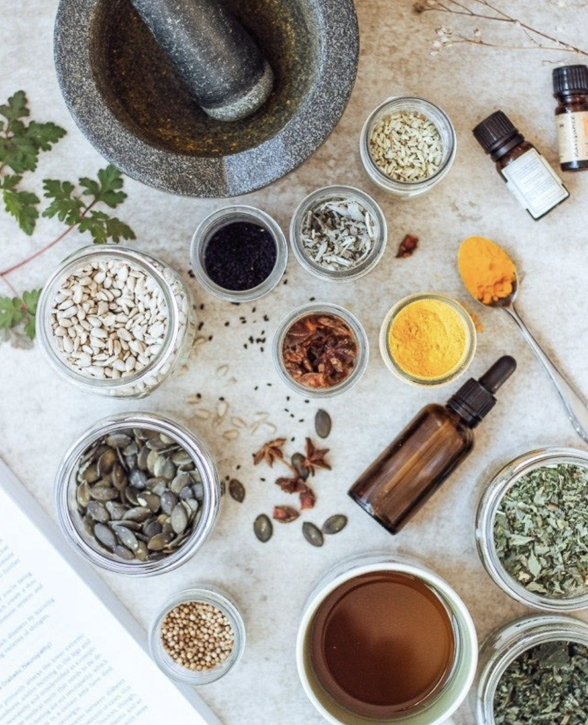 Aligned with Nature: A Fall Ayurveda Workshop