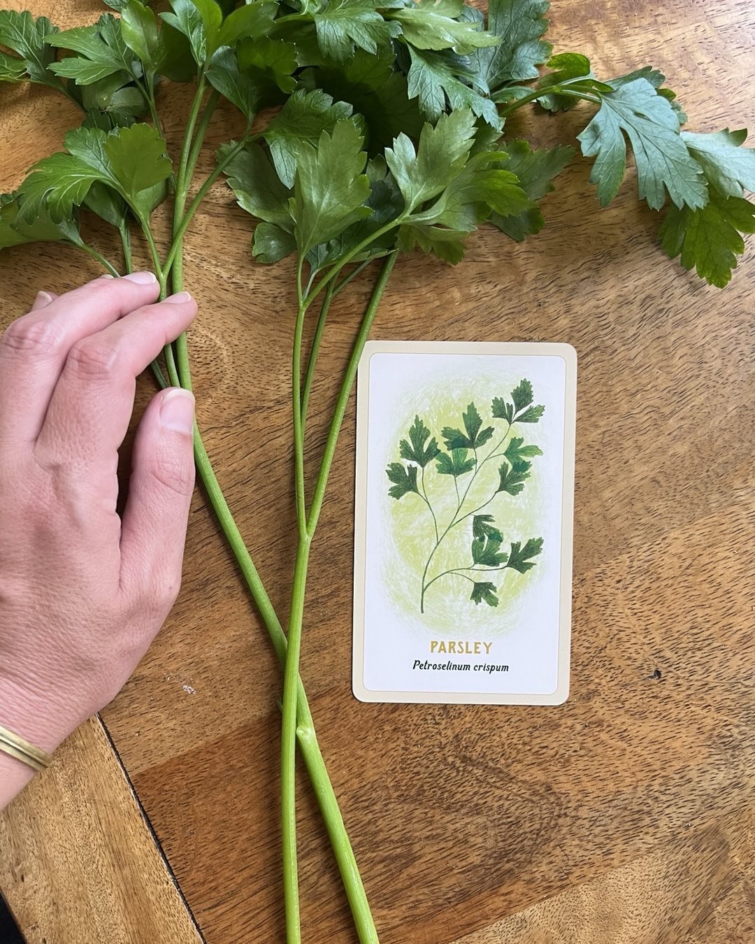 Parsley is for: protection, to boost intelligence and creativity, as well as clarity of thought. To work with it, simply add it to your everyday cooking, perhaps whispering your intentions as you do so. #magicrituals #witchlife #ritualsandspells