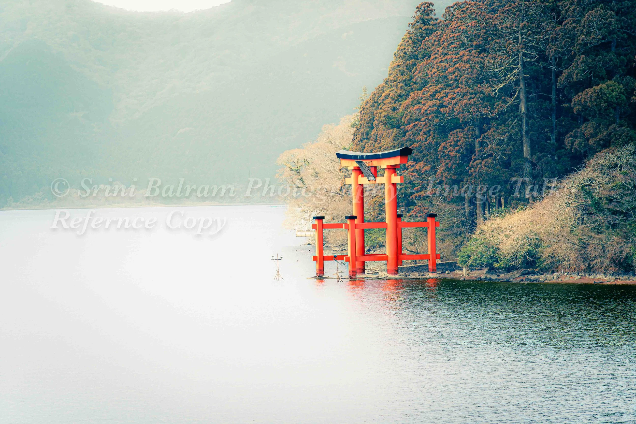 Vermilion torii standing in calm water beside a forested shoreline and mist-softened mountains in Hakone, Japan