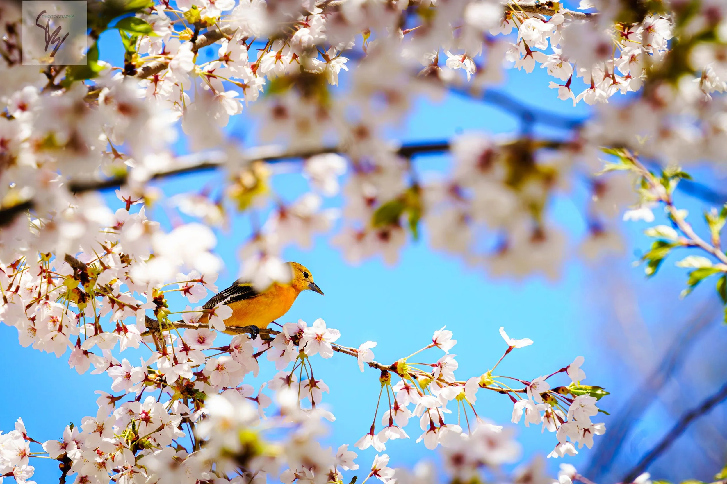 HighPark-6.jpg