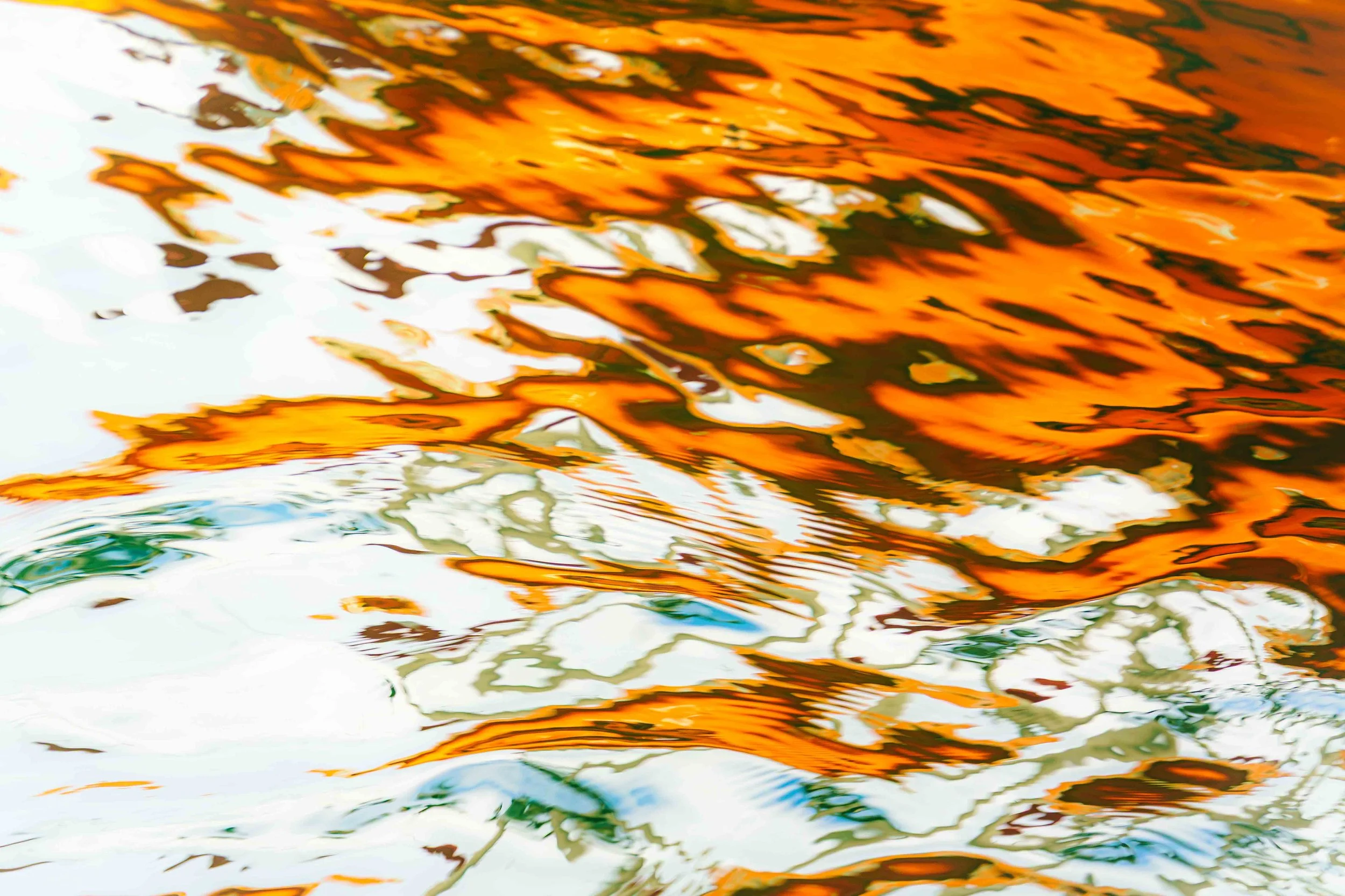 Colours in Motion.jpg