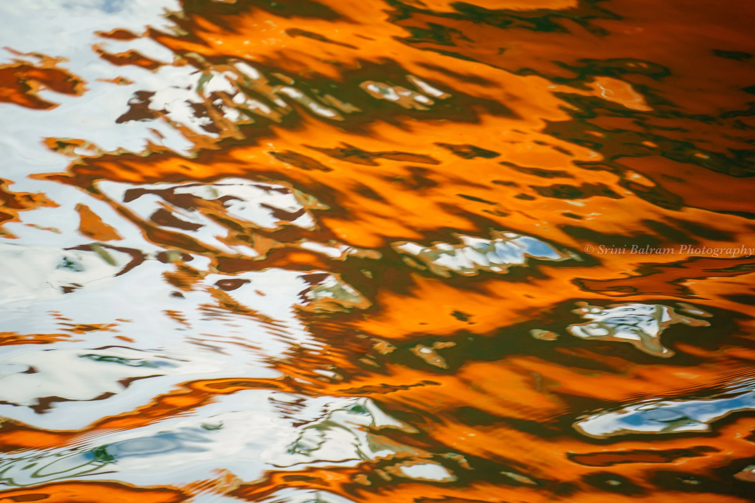 BOLD
Expressive, vibrant, alive.