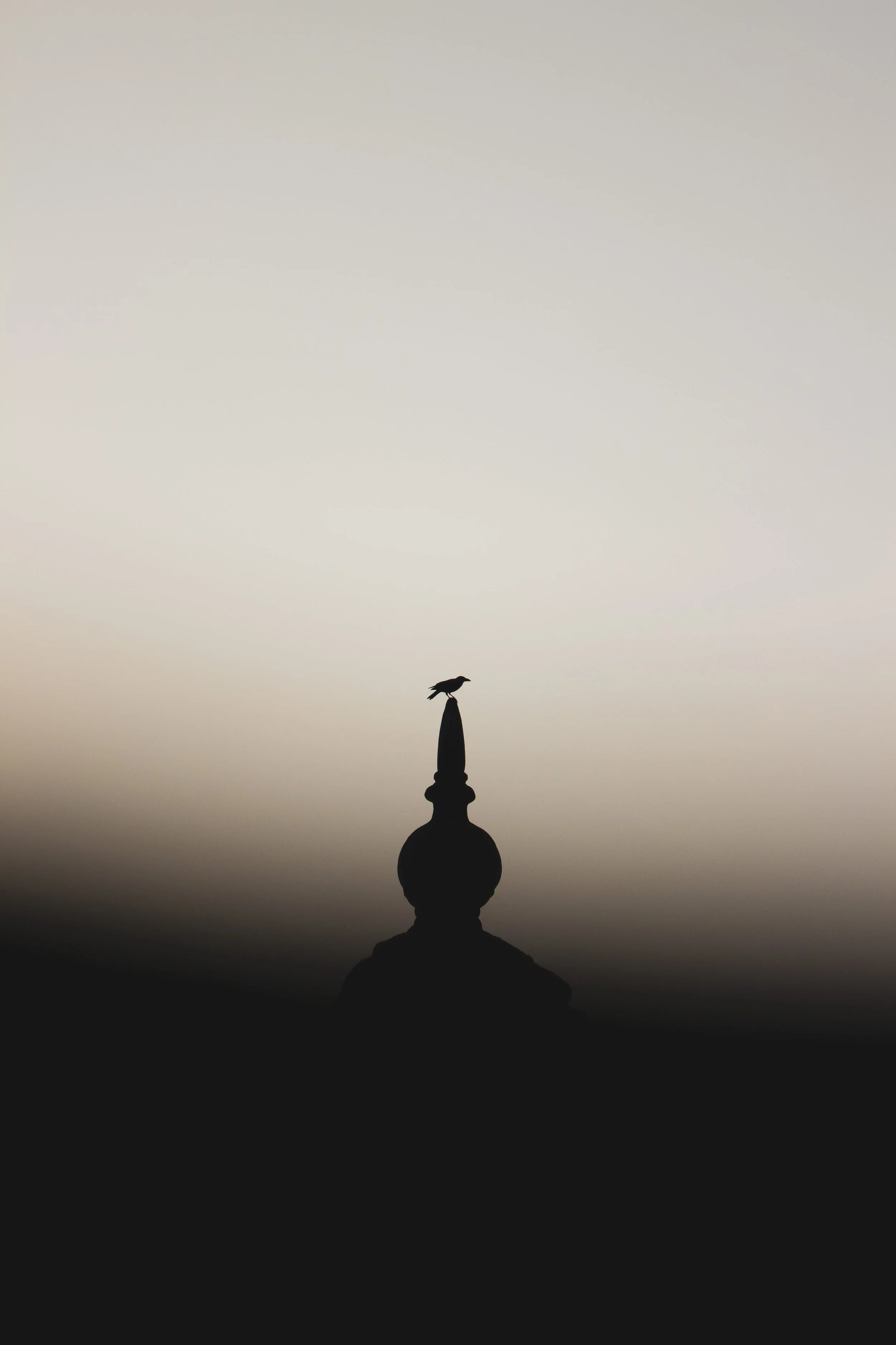 Solitary bird perched atop the silhouette of a monument against a soft, expansive morning sky in Mahabalipuram, India