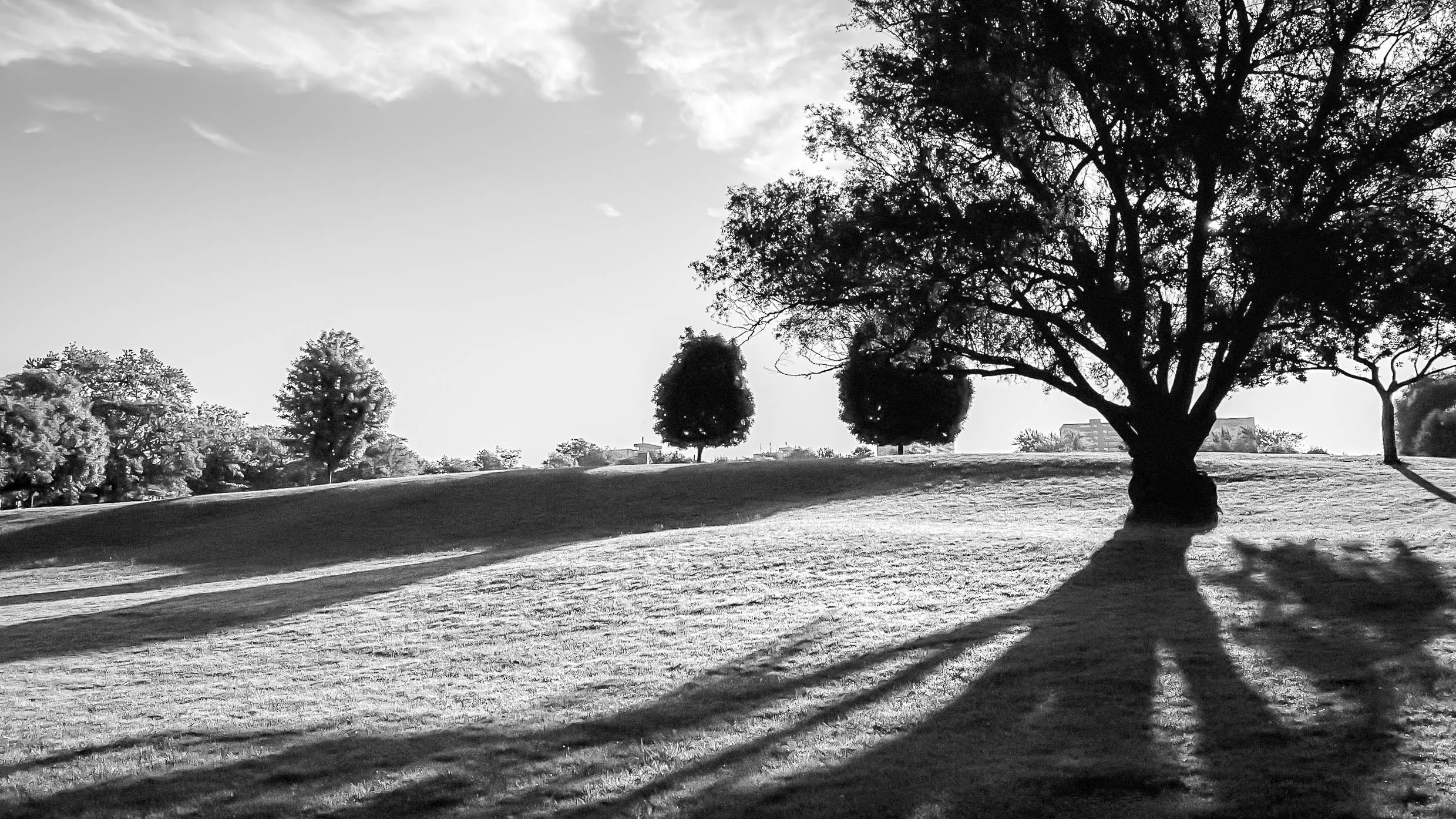 Reference - Shadow Play.jpg