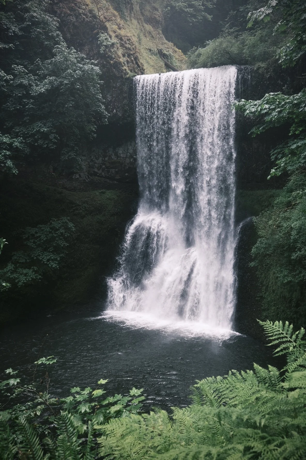 Waterfall cascading over a cliff surrounded by lush green foliage.