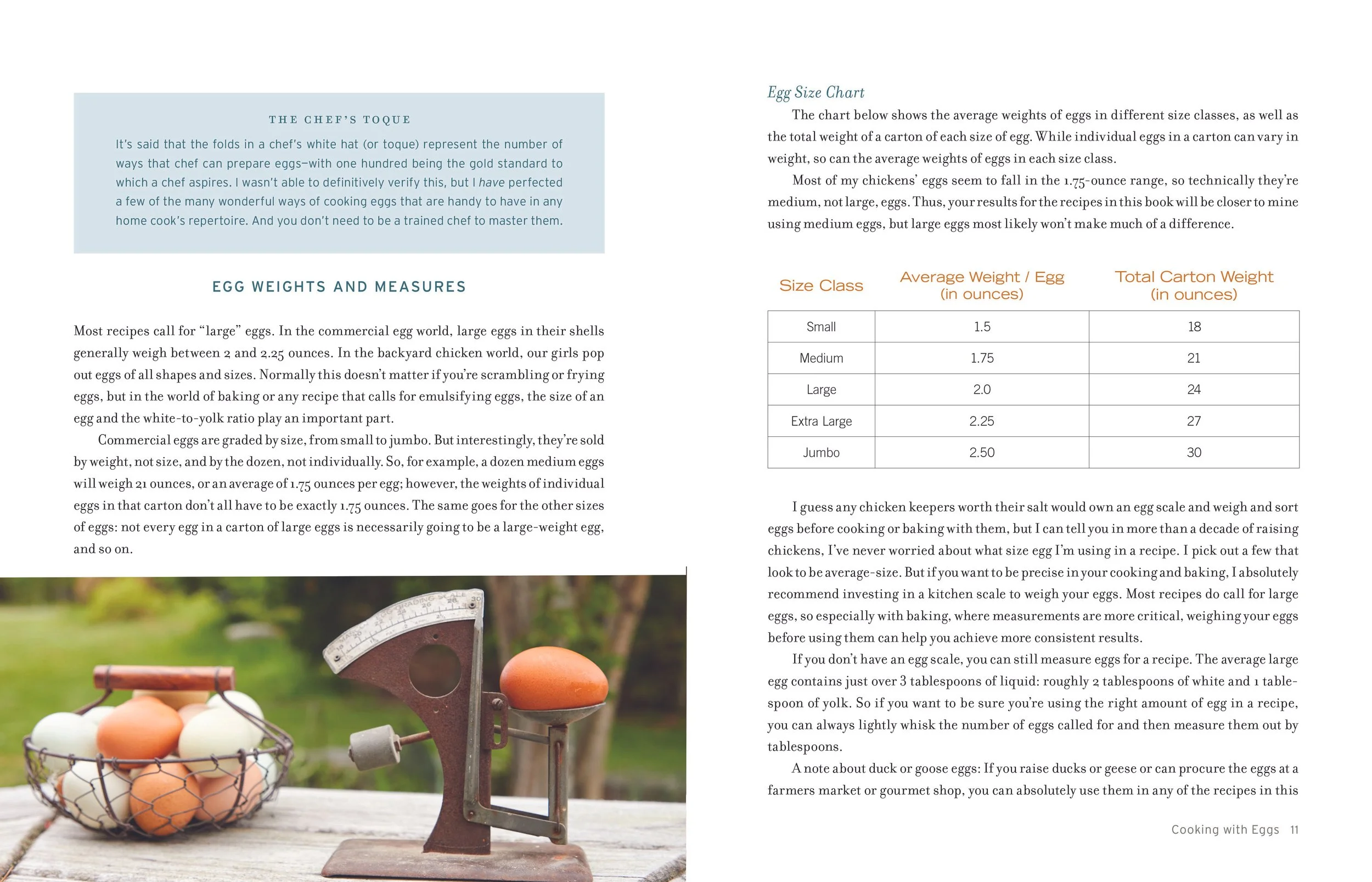 FresheggsHires-page11spread.jpg