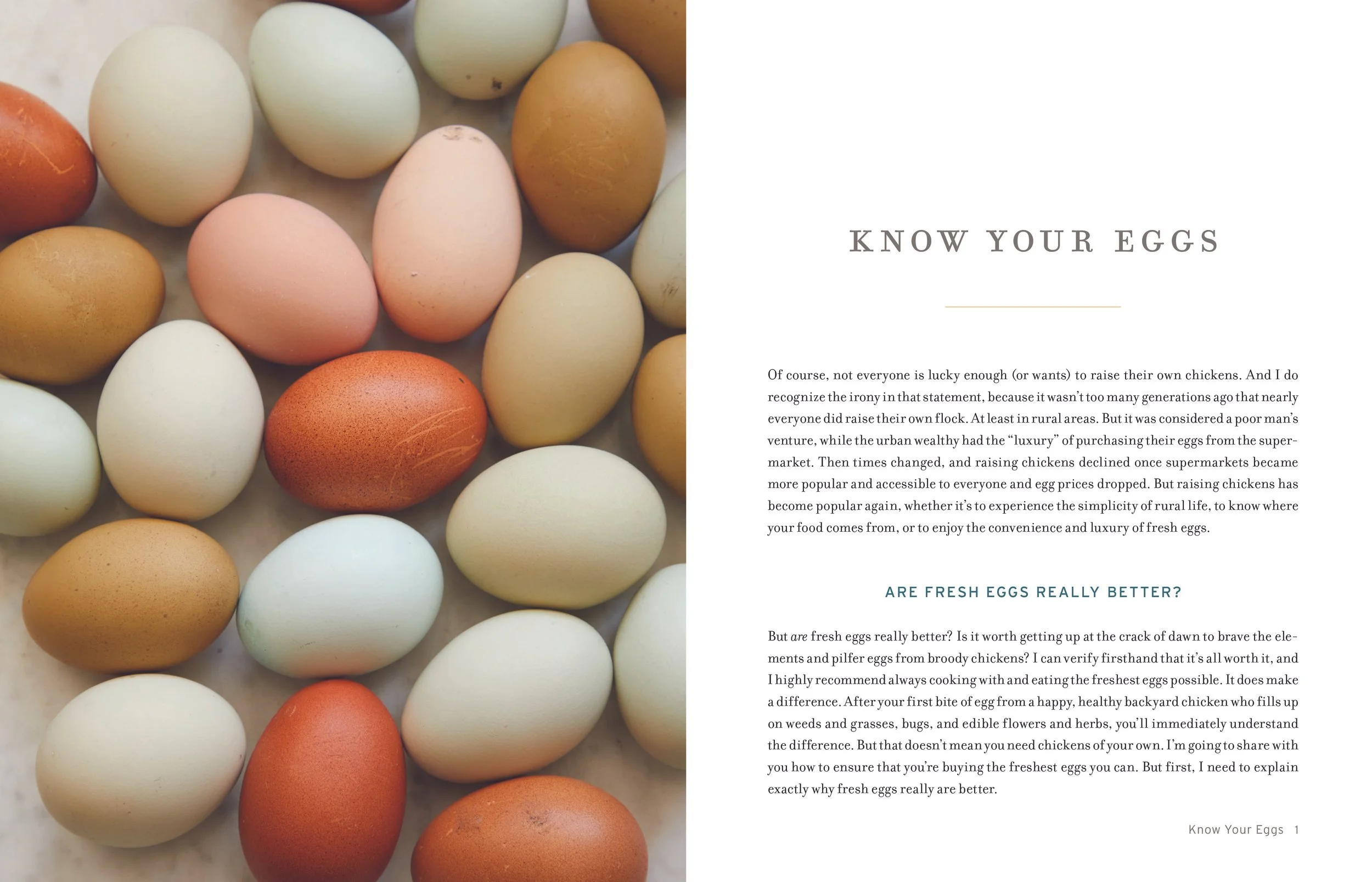 FresheggsHires-page1spread.jpg