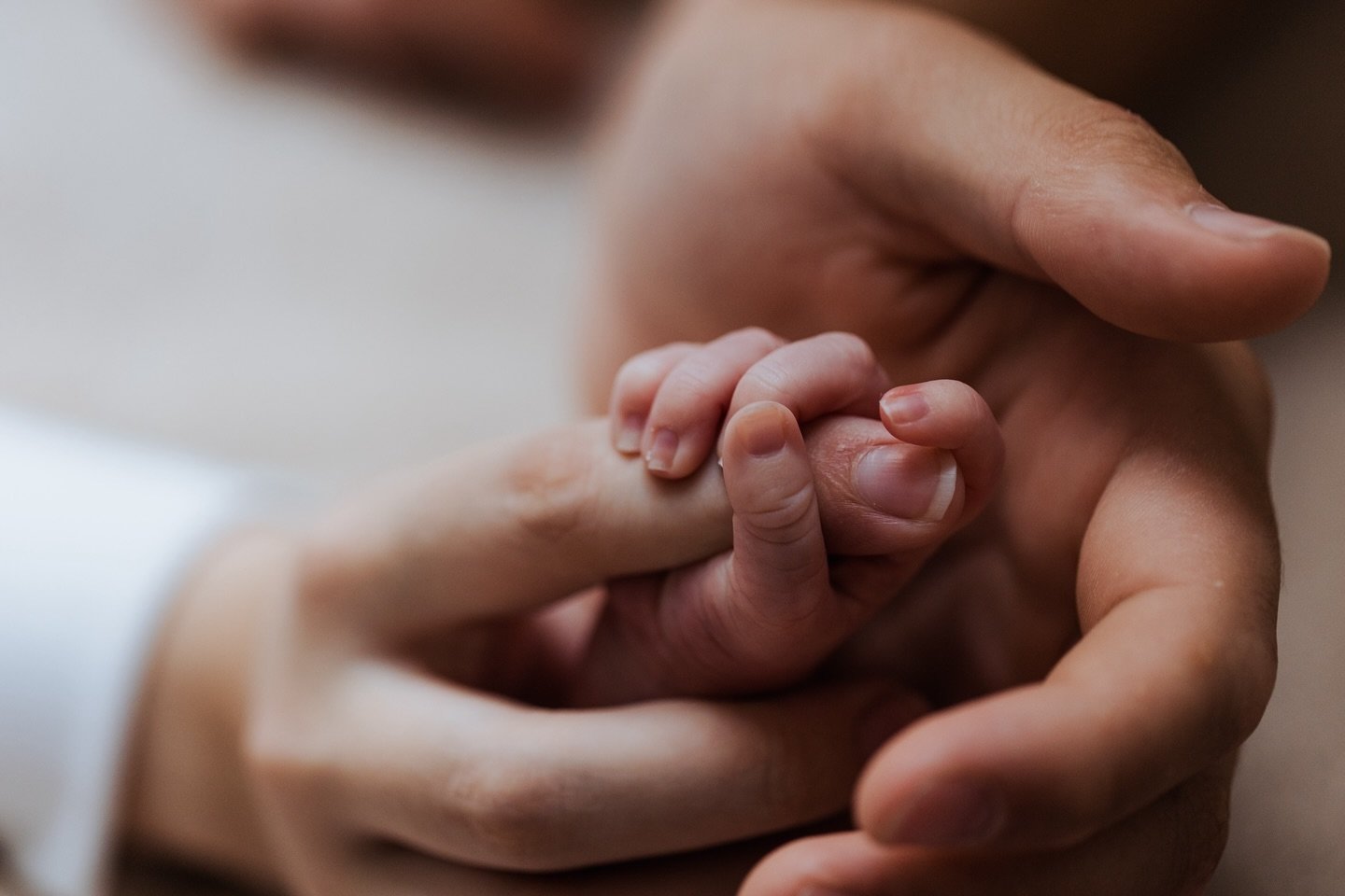 Kleine vingers houden stevig vast aan wat hen dierbaar is
&bull;
&bull;
&bull;
#family #familie #gezin #pasgeboren #pasgeborenbaby #pasgeborenbaby #newlife #shoot #littlekid #gezinsfotografie #fotografie #photography #fotoshoot #newborn #newbornshoot