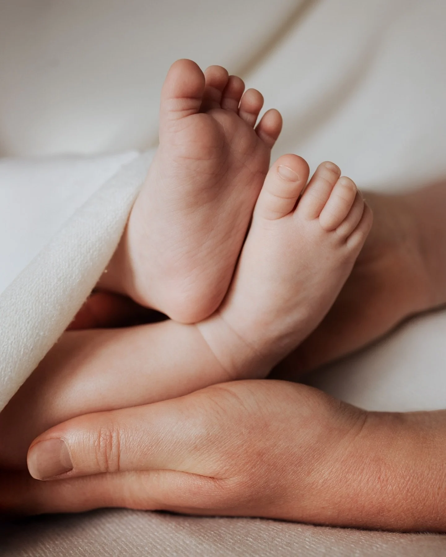Kleine voetjes zetten grote stappen
&bull;
&bull;
&bull;
#family #familie #gezin #pasgeboren #pasgeborenbaby #pasgeborenbaby #newlife #shoot #littlekid #gezinsfotografie #fotografie #photography #fotoshoot #newborn #newbornshoot #enjoylittlemoments #