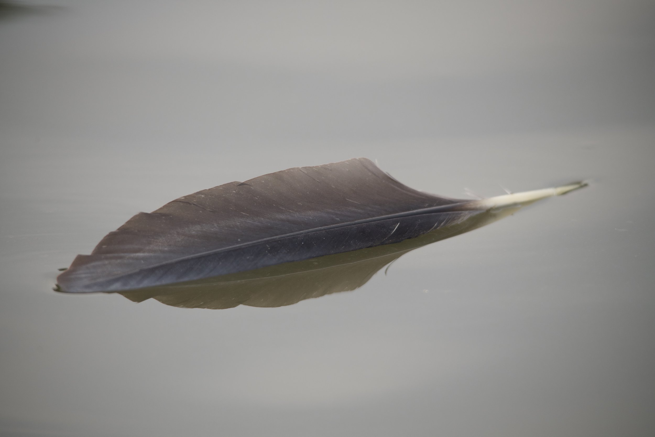 DSC_6789.jpeg