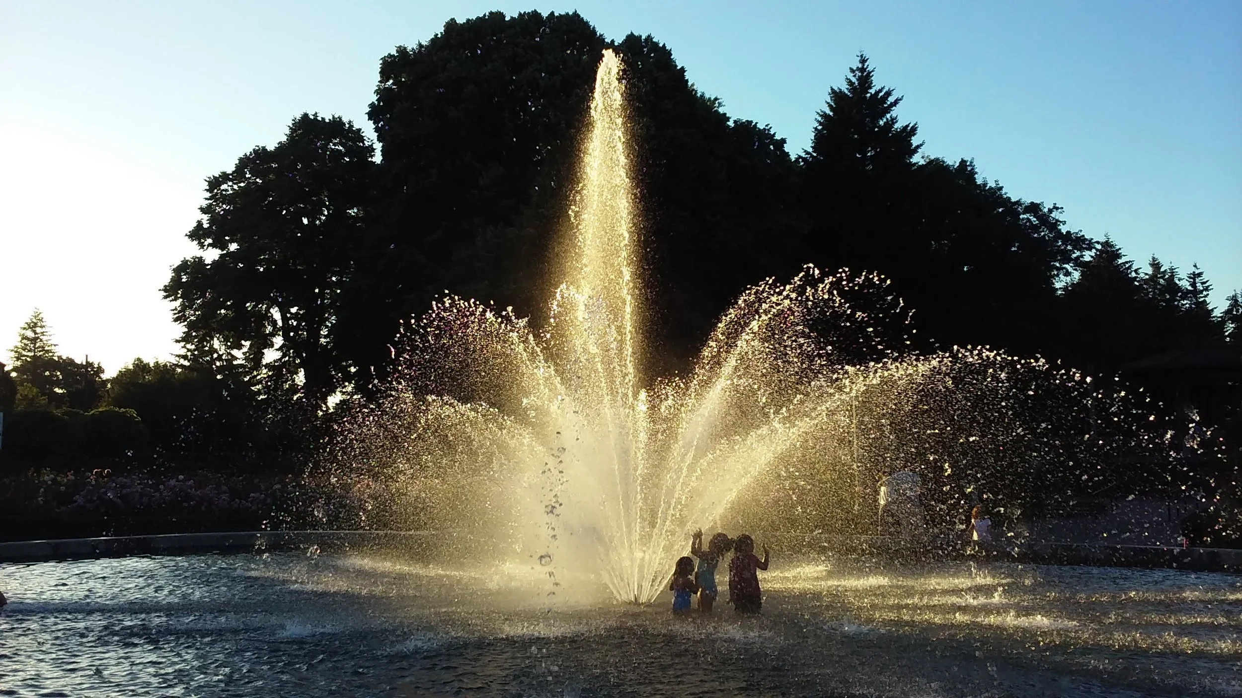 Peninsula Park Community Center Food Market: Volunteer w/Urban Gleaners