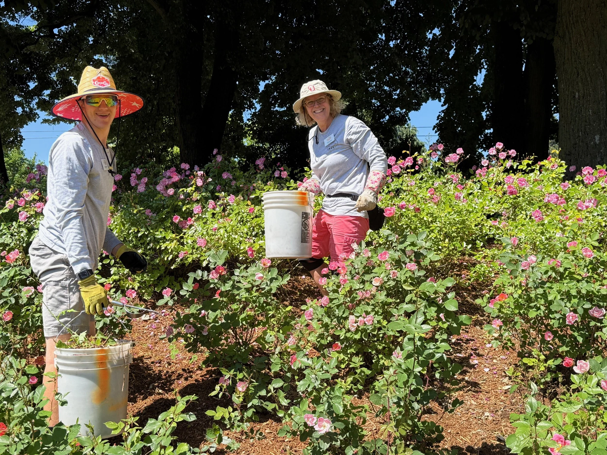 Deadheading, Fridays