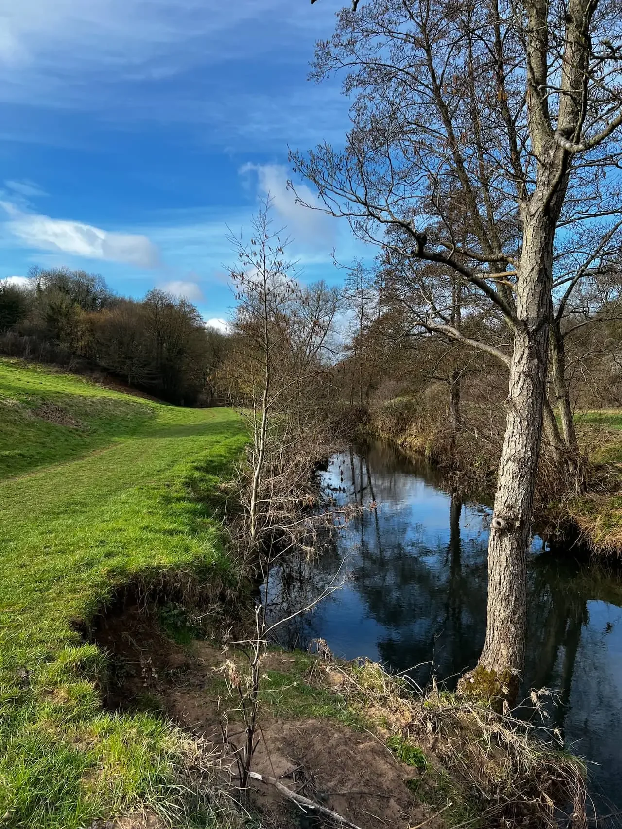 Midford Brook in summer, Midford Valley, Somerset, near Bath