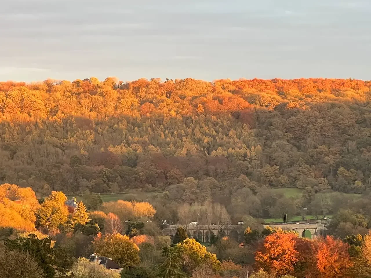Autumn leaf colour on trees in the Midford Valley, Somerset, near Bath
