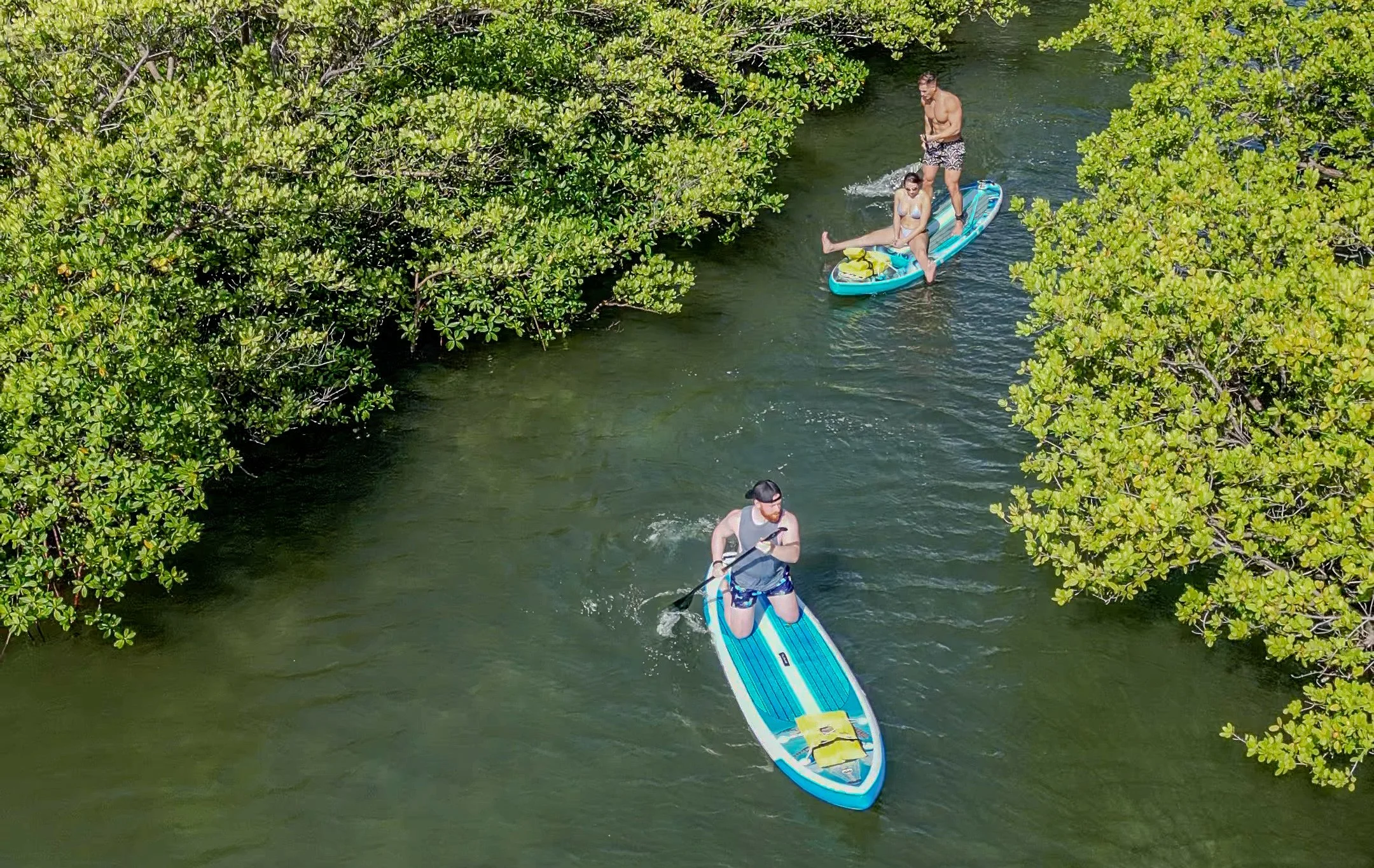 Two men and two women paddleboarding in a narrow river surrounded by dense green trees.