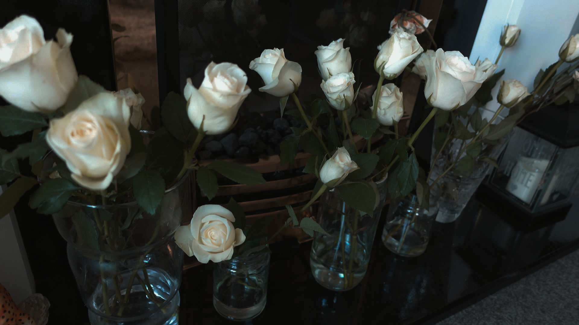 Still 2026-02-10 200141_3.8.1.png