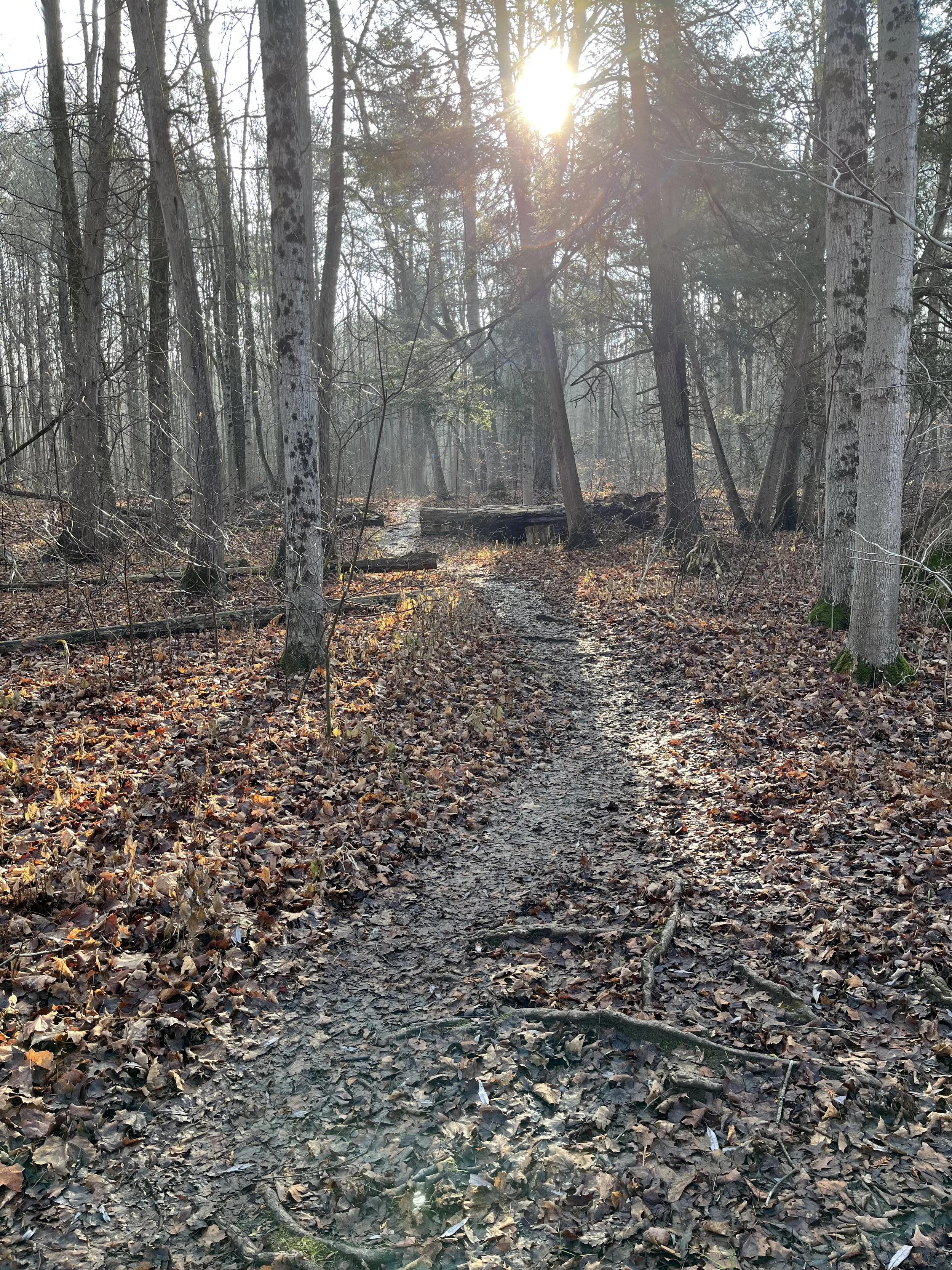 How to go on a healing walk, and participate in decolonization as you do