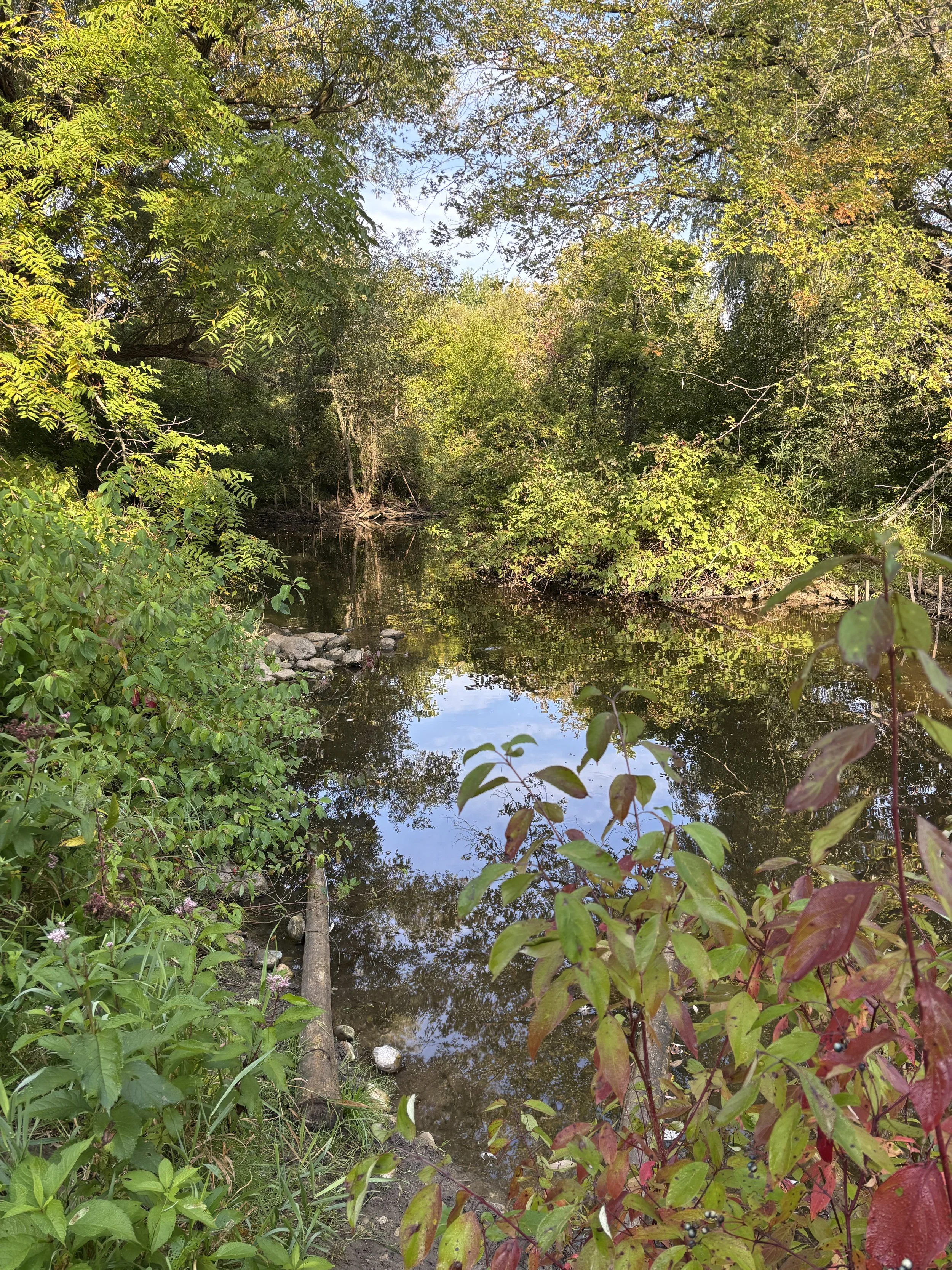 Reciprocal Relationships with Nature