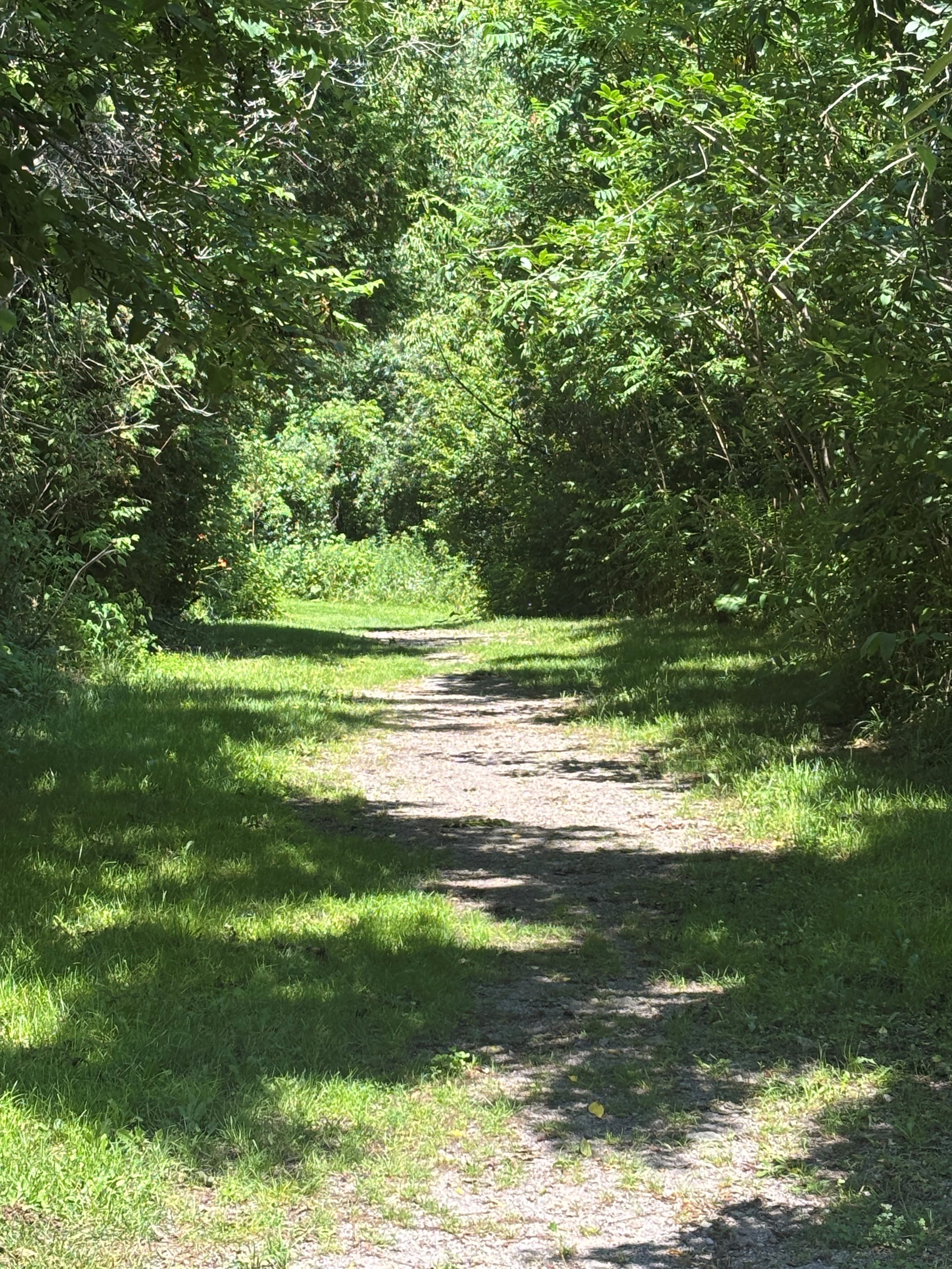 Summer Outdoor Therapy: Finding Healing Along the Path