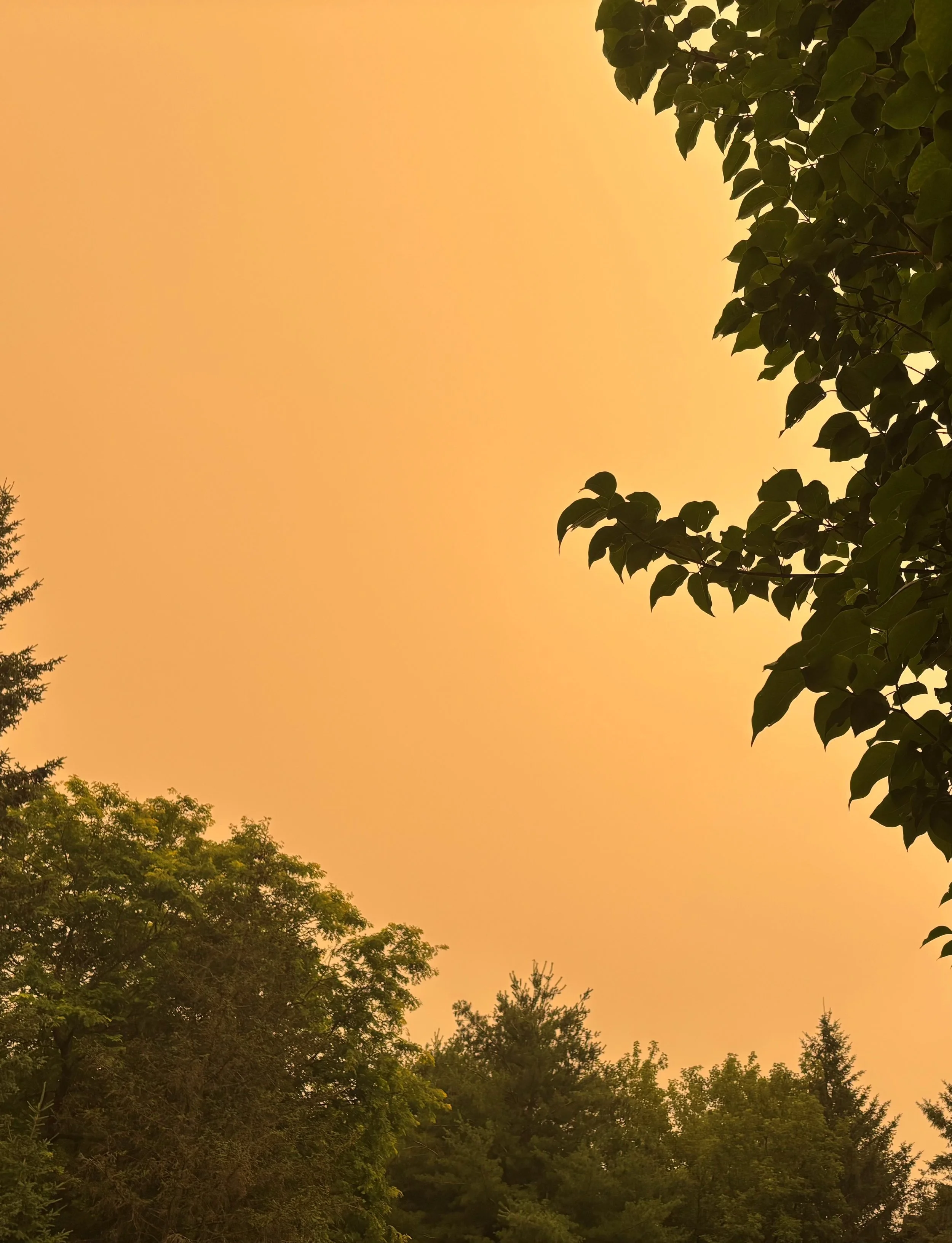 Ecotherapy Climate Conversations