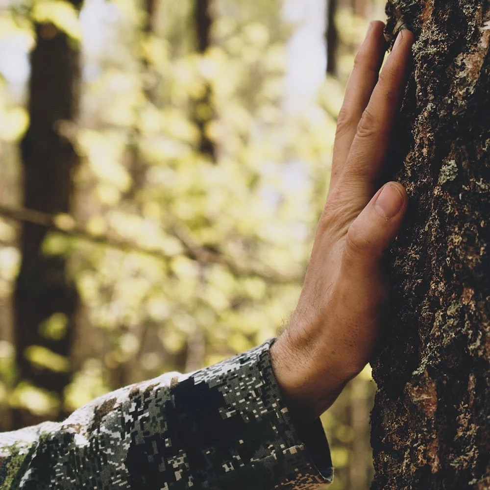 Healing Spaces Therapy: a hand connecting with a tree.