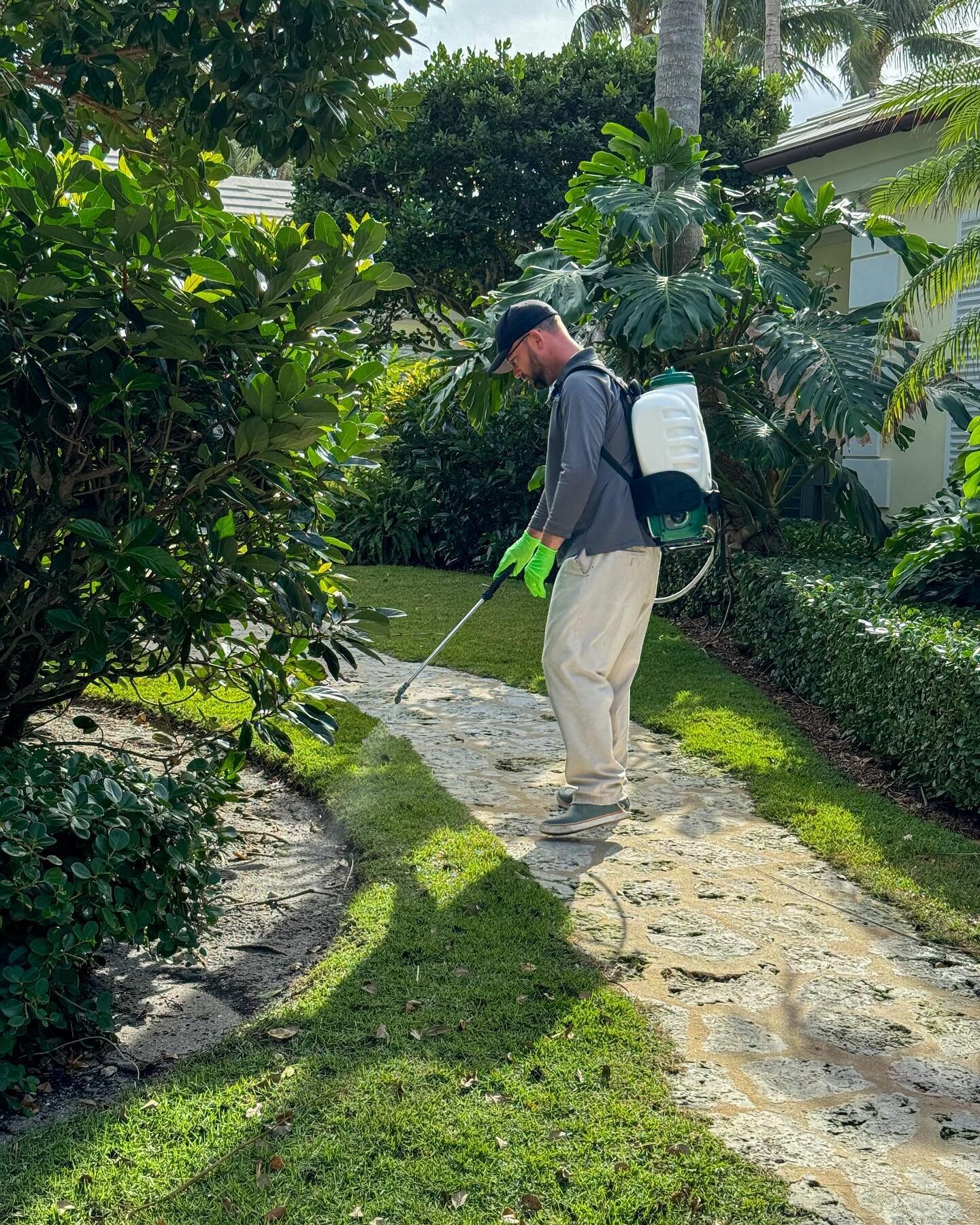 Just like the inside of your home can get #bugs, so can your grass!

The less you maintain or proactively treat your lawn the more susceptible the turf is to build up of weeds, fungus, and bugs. The appearance can diminish quickly and damage spreads 