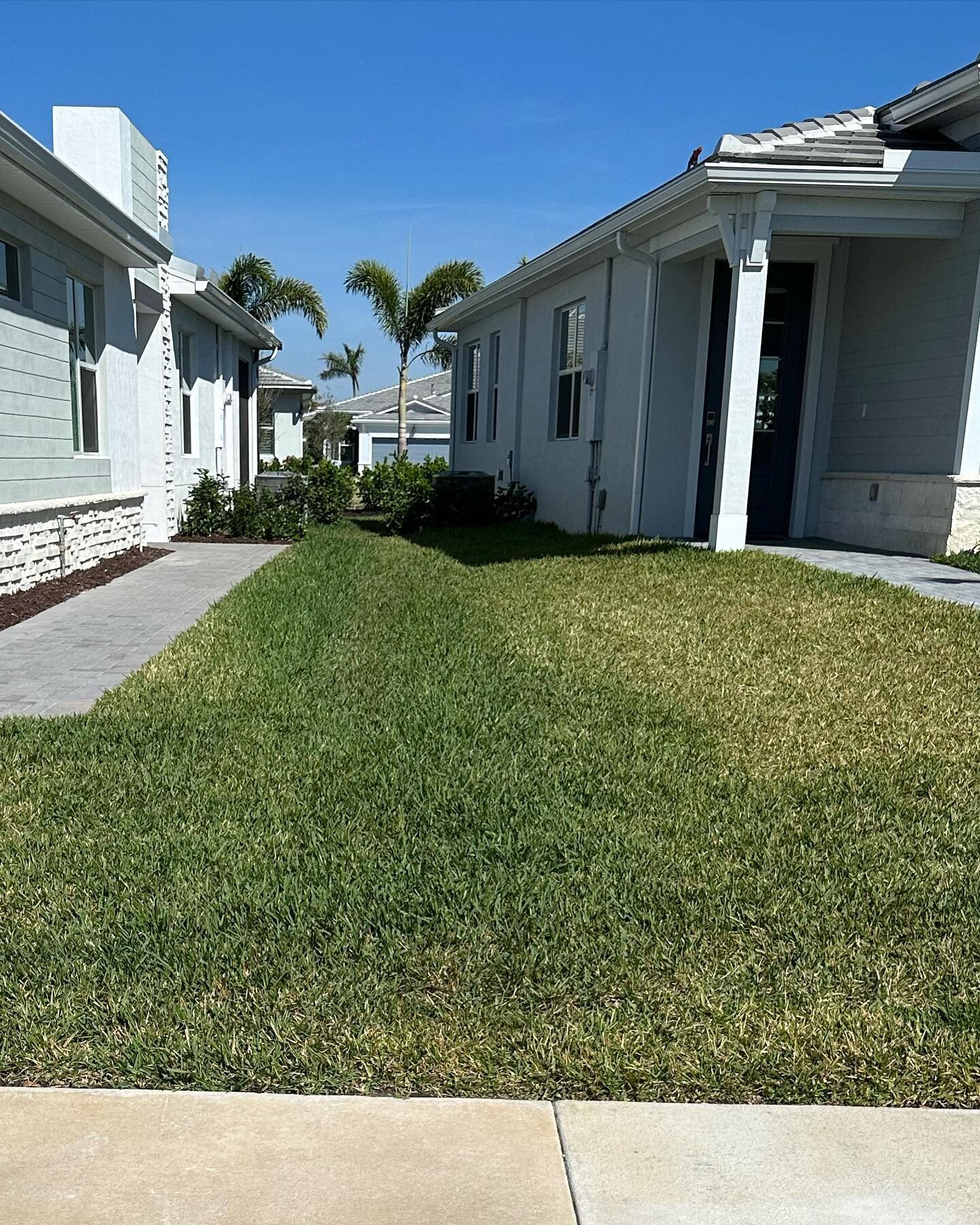 When you hire #Legacy to do your lawn, but everyone else uses the HOA&rsquo;s company 🙃 #Tradition #PSL #PortStLucie #NewConstruction #PestControl #LawnSpray