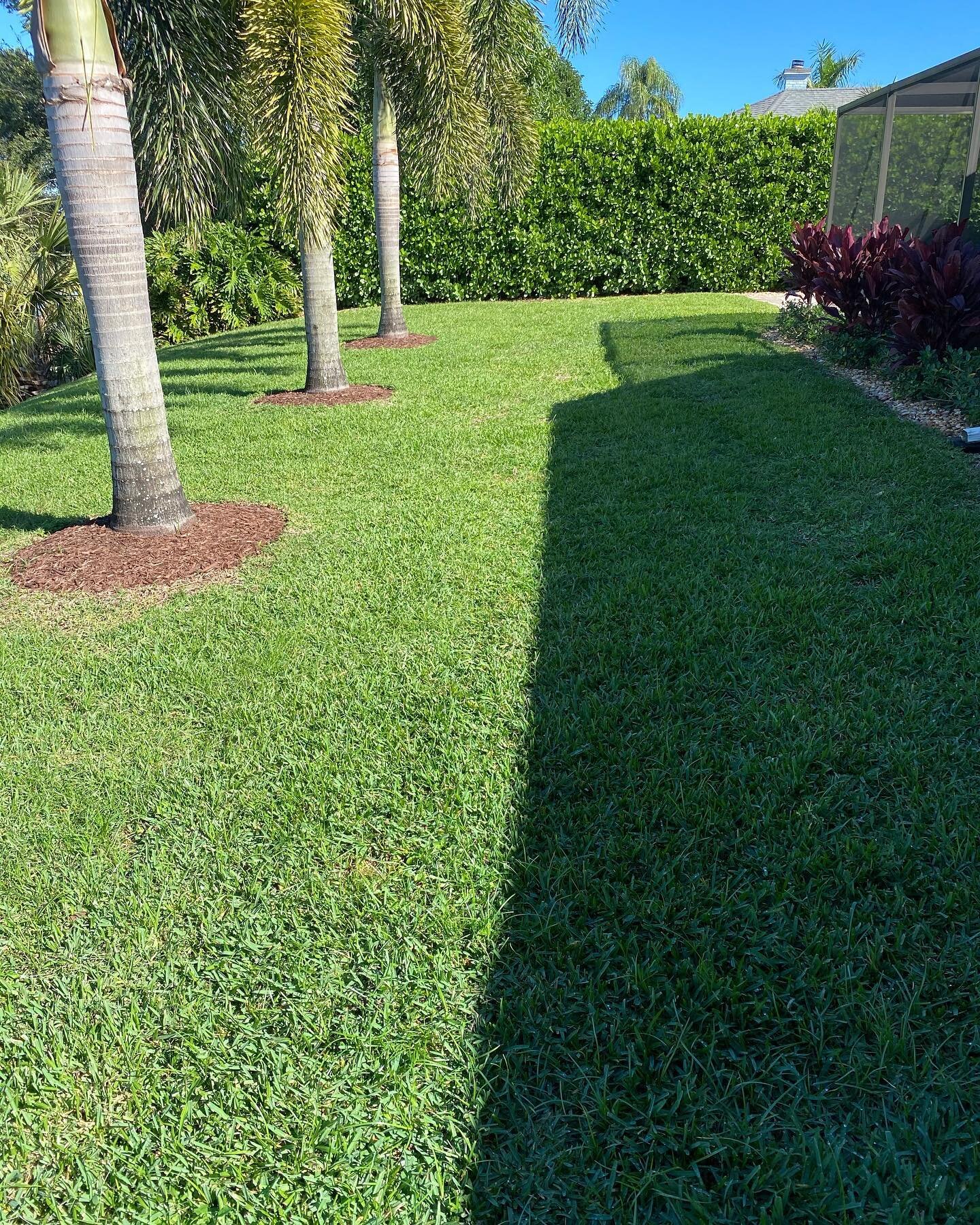 Another lawn saved by Legacy! Swipe to see the before ➡️