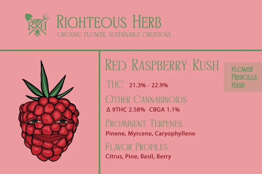 RedRaspInfoCard (2).jpg