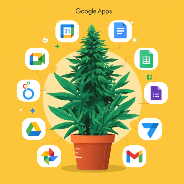 Cannabis Runs On Google