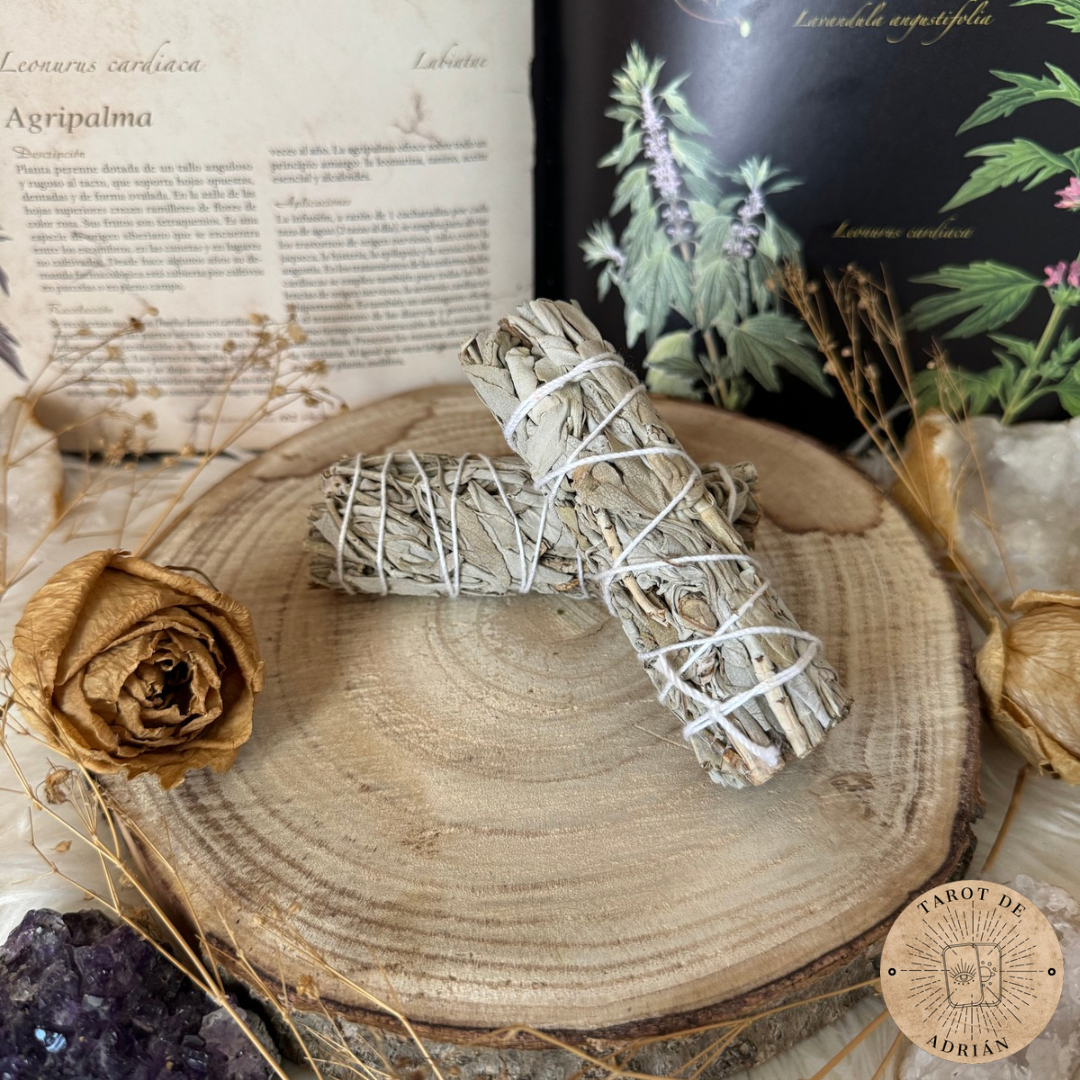 Sahumerio de Salvia Blanca