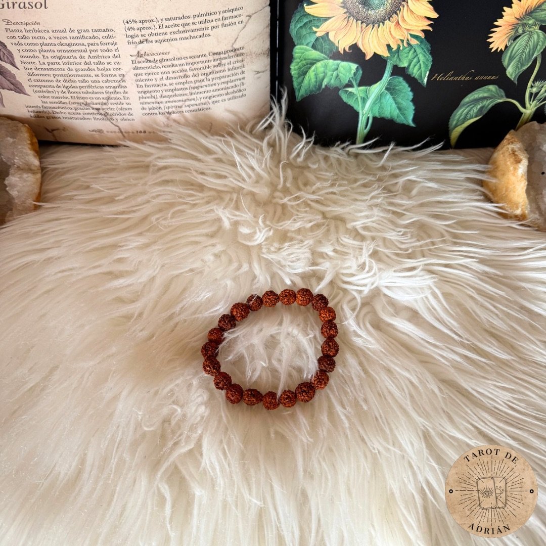 Pulsera de Rudraksha
