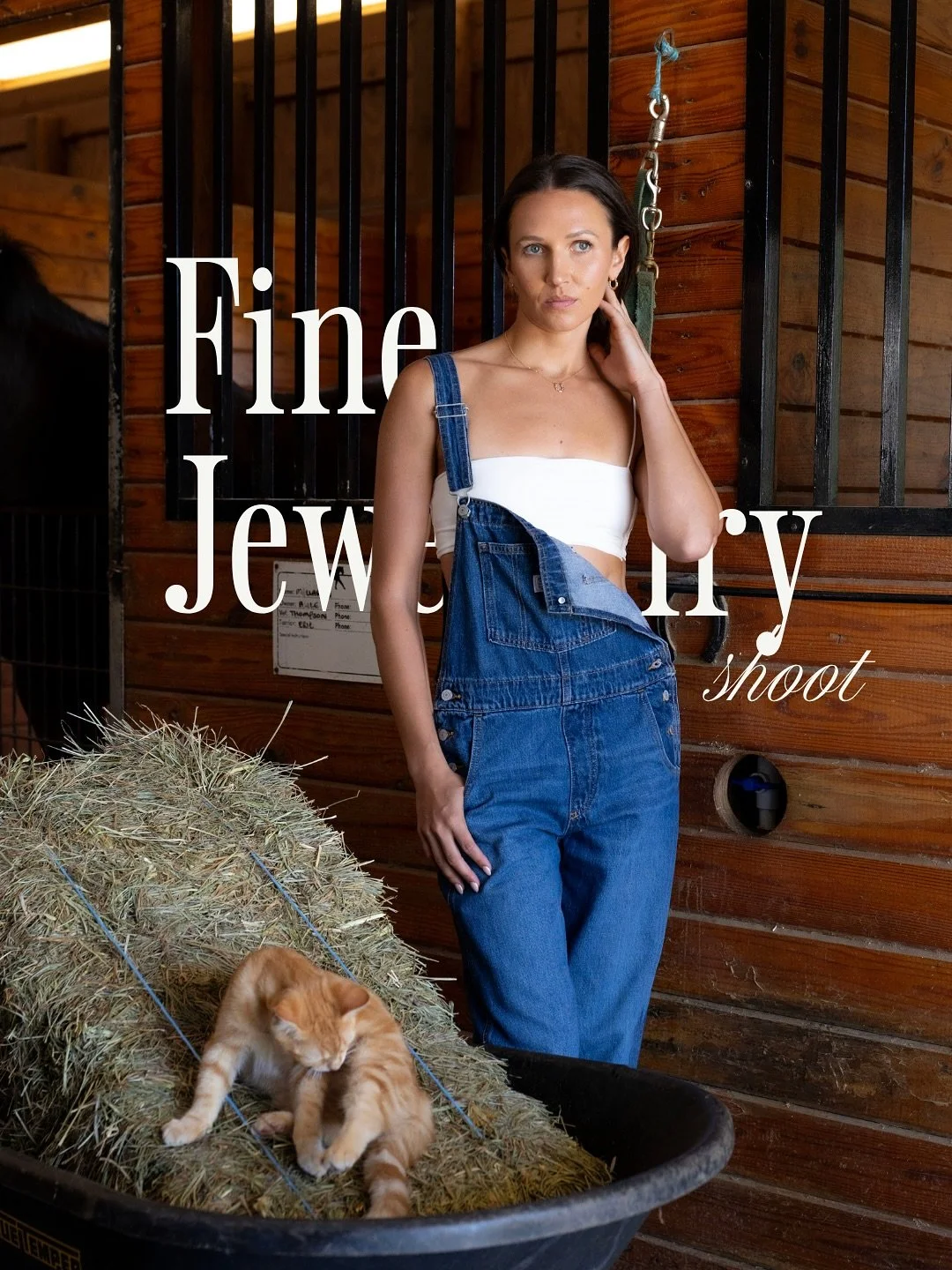 We love it when the shoot ends up looking even better than the mood board!

Truly a dream shoot with horses and diamonds (are you kidding me??) 💎🐎

For this campaign, we developed the creative direction, handled the shot list, day-of flow on set, a