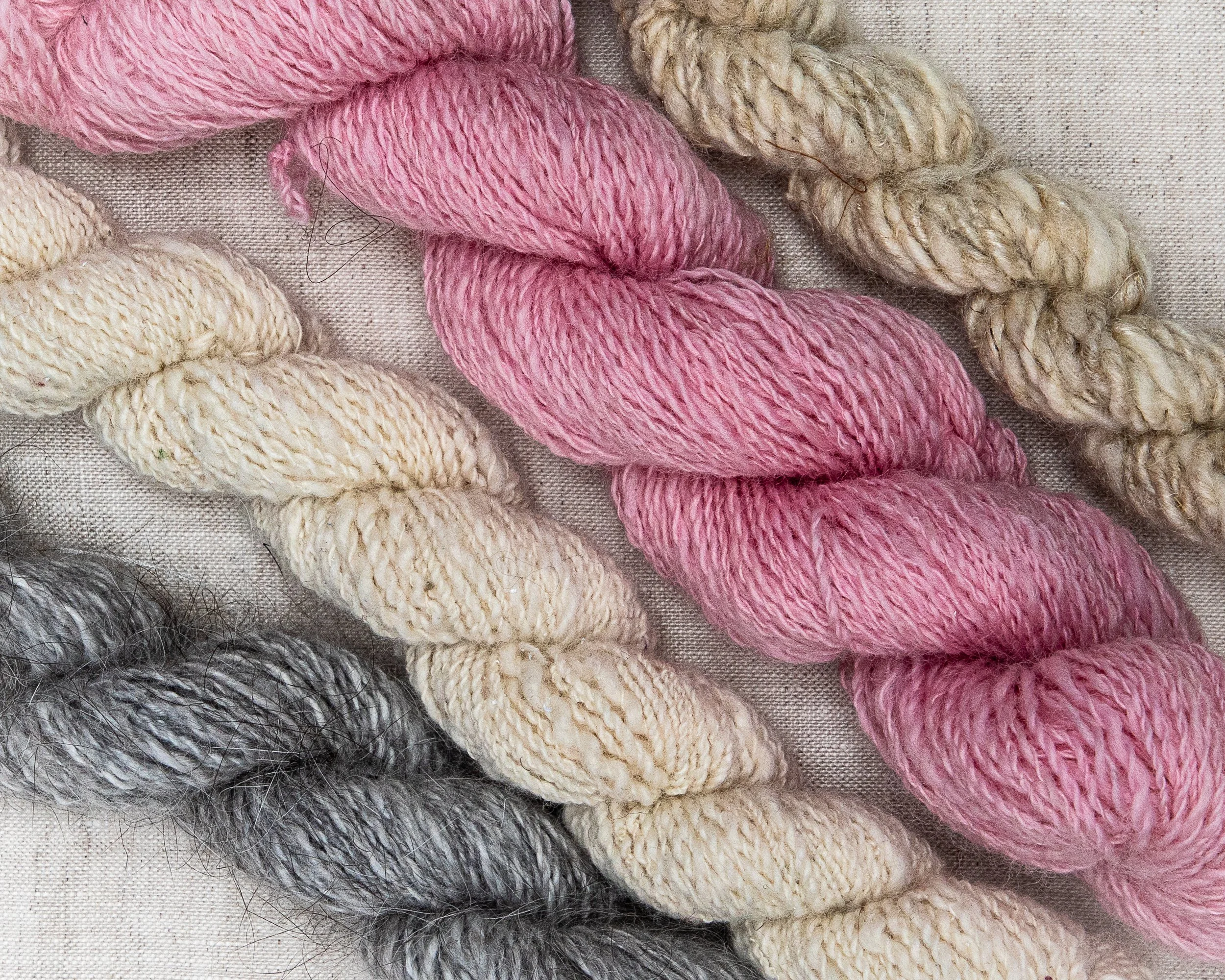 Elliot_s Spinning Class - Shop - Programming - 20260209-7.jpg