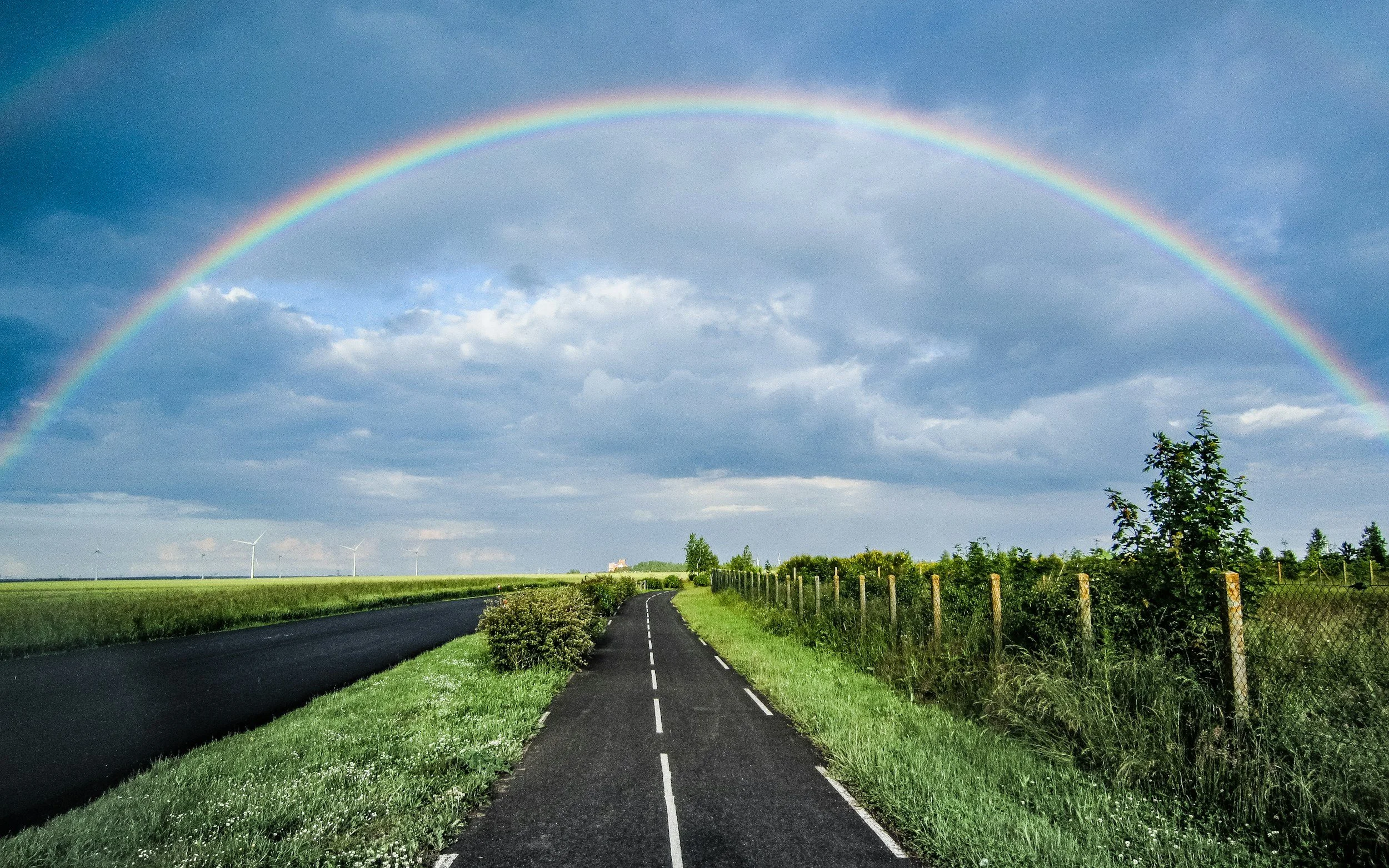 The Future of Queer Philanthropy: 5 Predictions for 2026