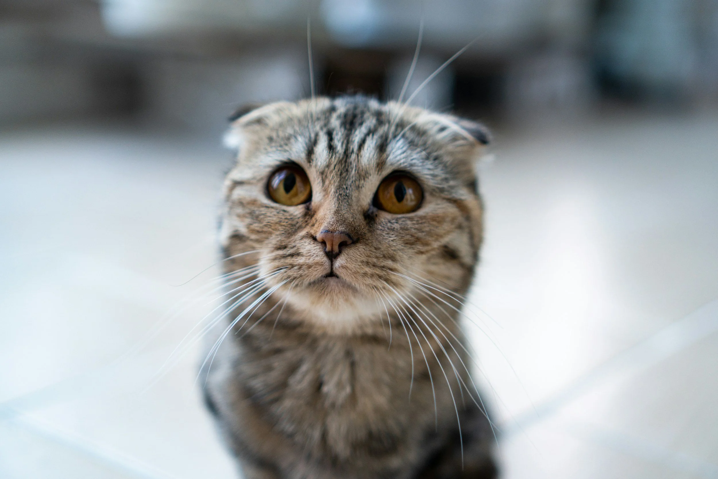 Your Grant Writer Shouldn't Have to Beg You for Information