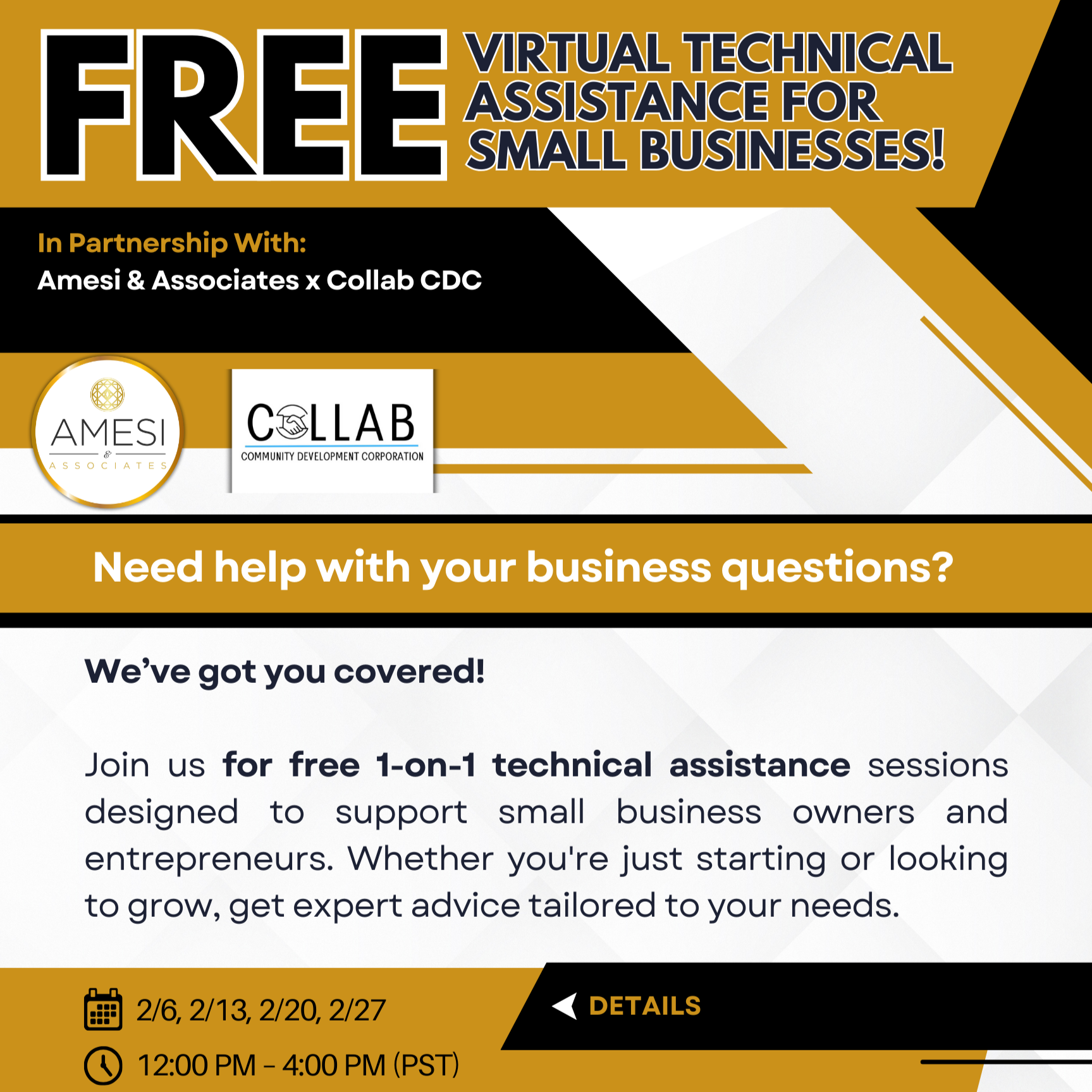 1-on-1 Technical Assistance with Amesi &amp; Associates (virtual)